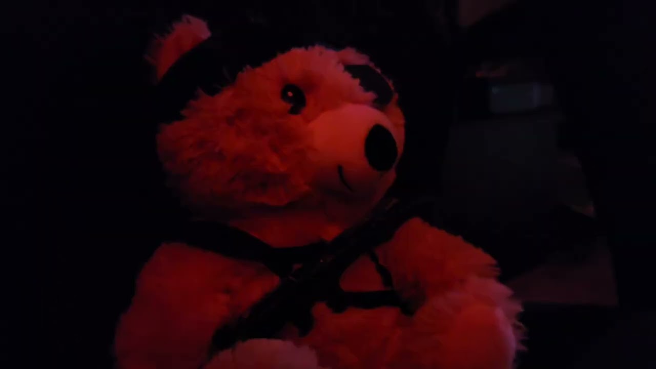 Teddy Wants to Boogie