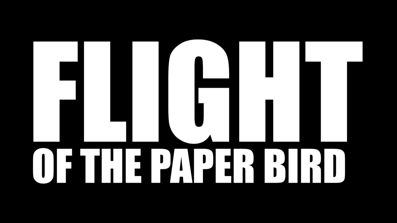 Flight of the Paper Bird