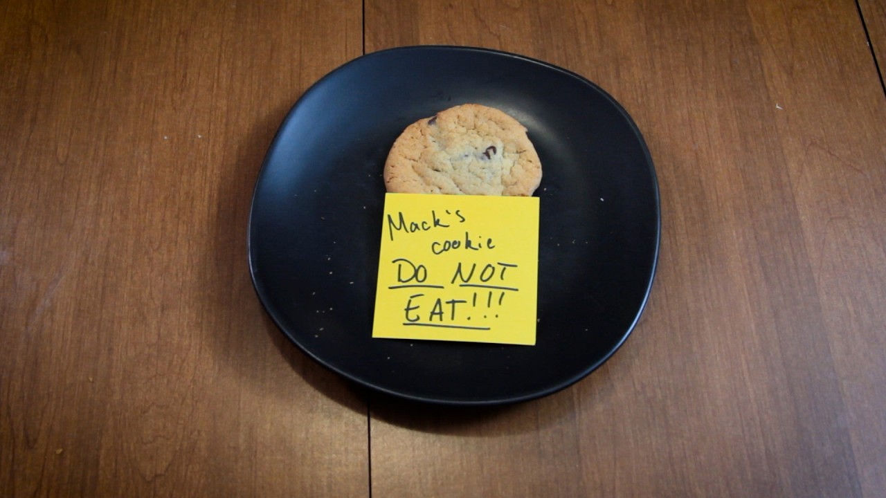 Macks Cookie (Do Not Eat!)