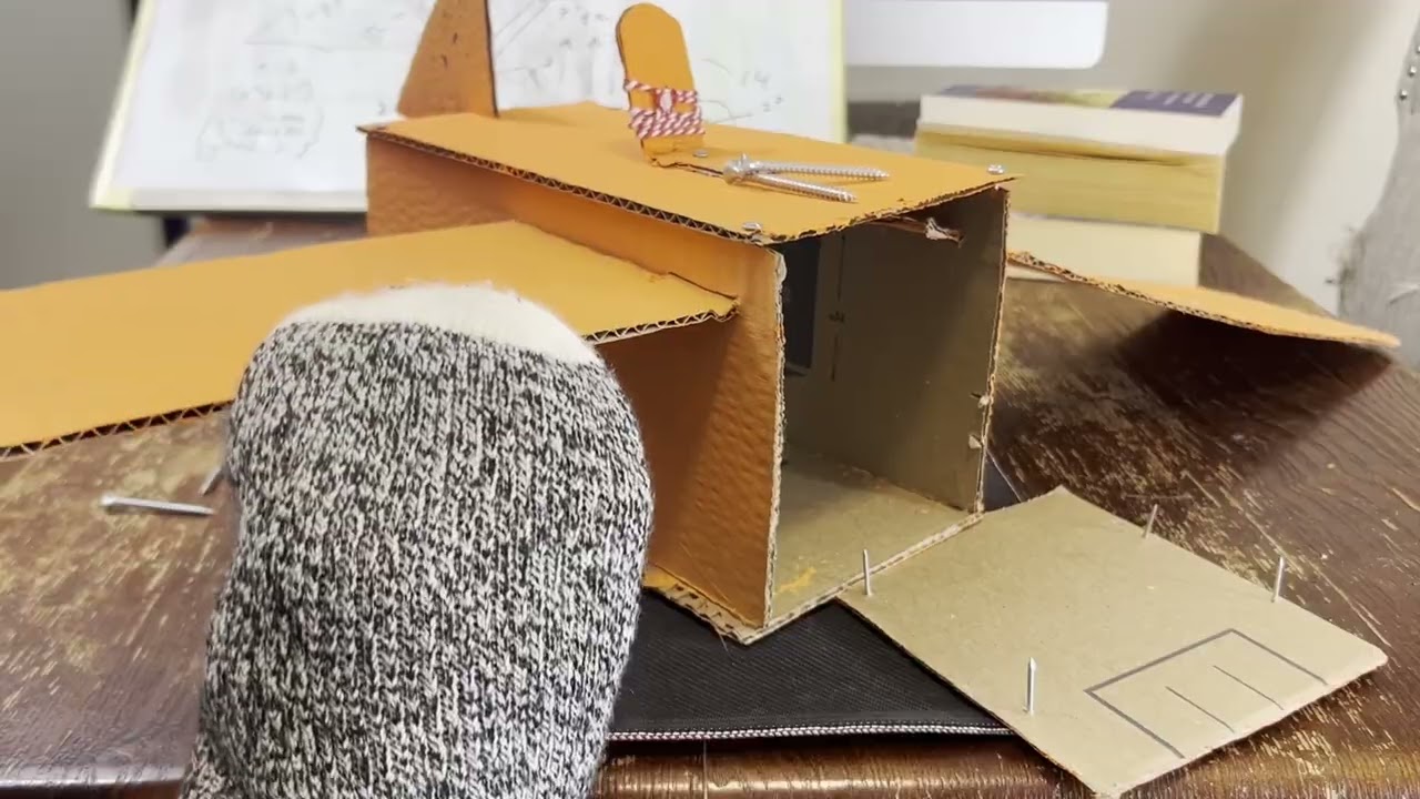 The Sock That Learned to Fly